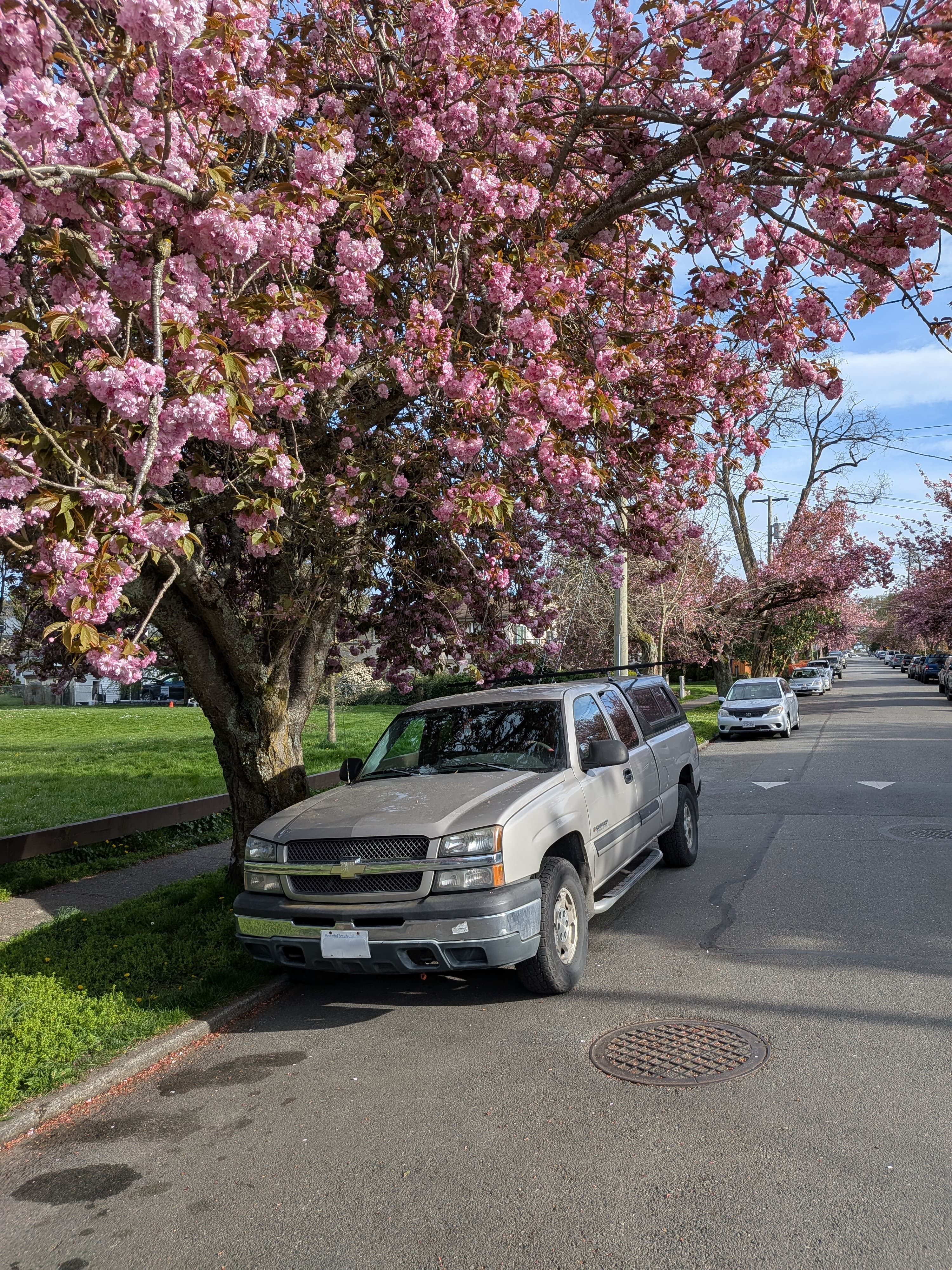 Blackwood Junk Removal truck serving Esquimalt, BC